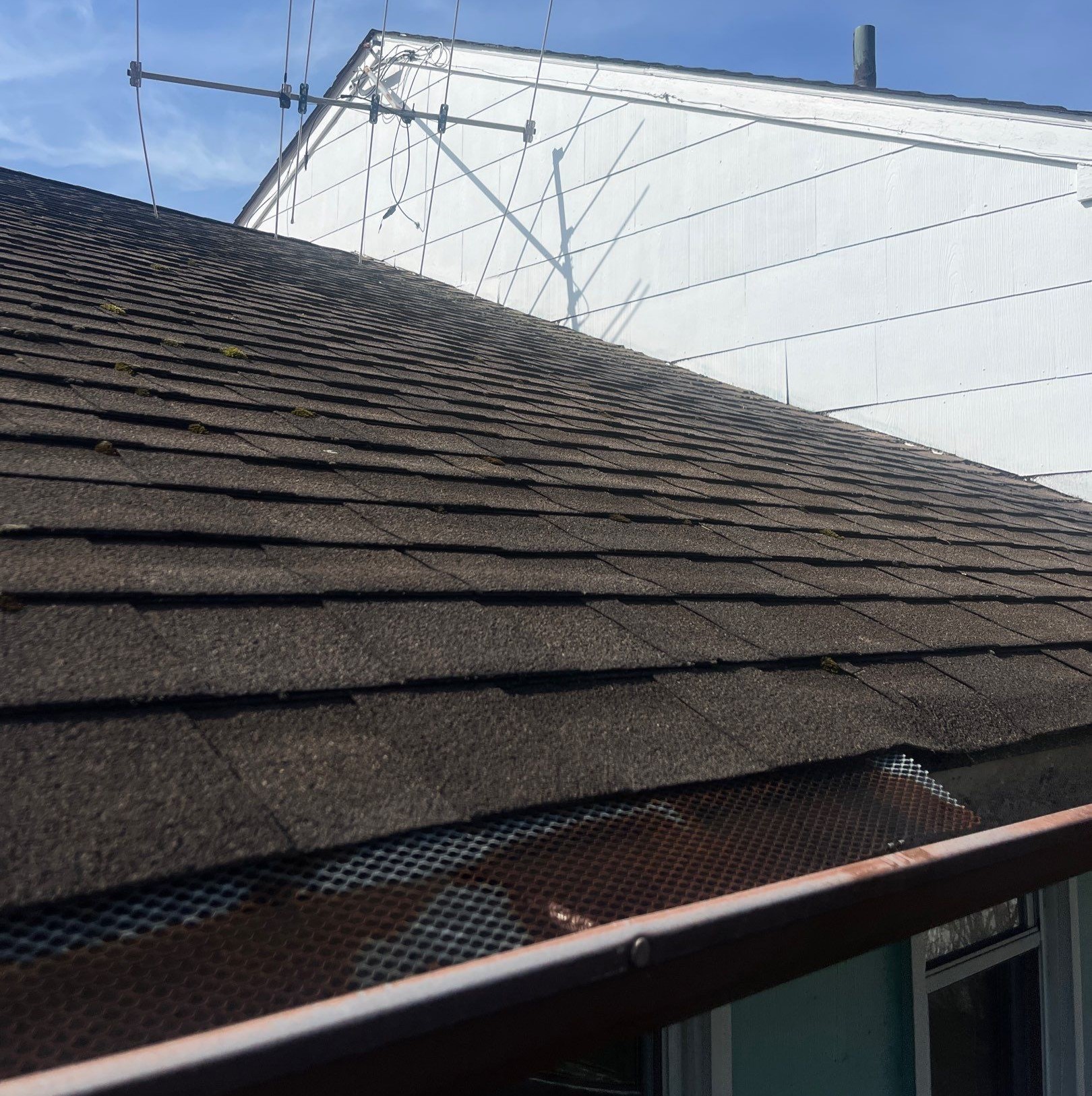 Gutter guard installation on asphalt shingle roof for clog prevention and gutter maintenance services